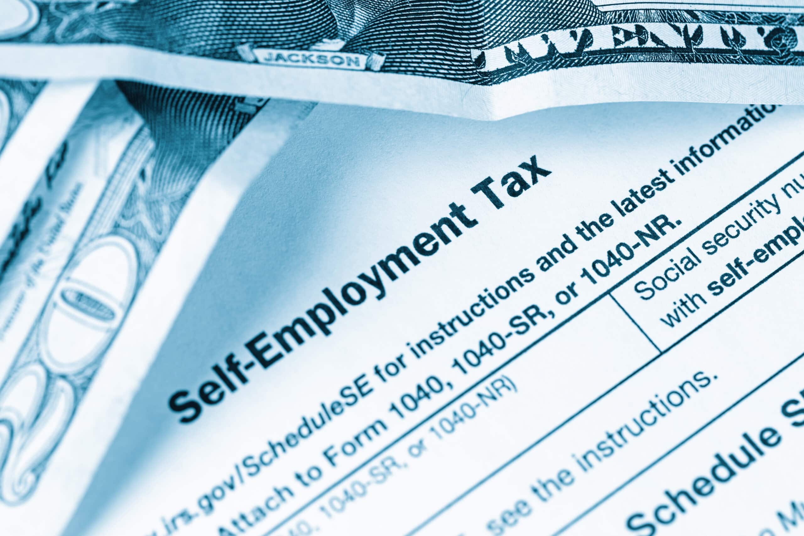 Self-Employment US Tax History