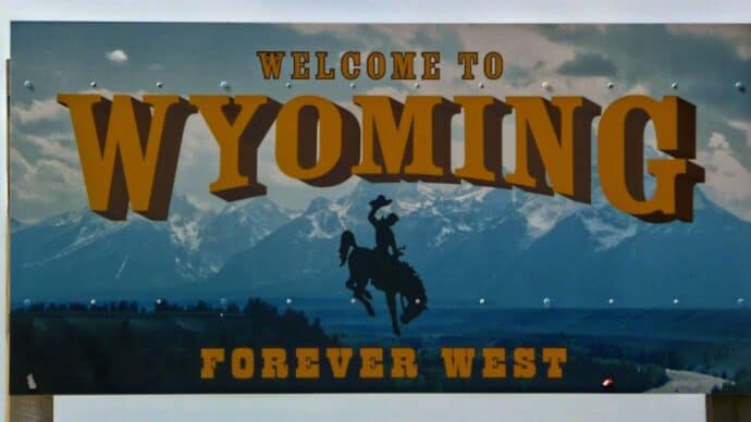 A Brief Look at the History of the LLC